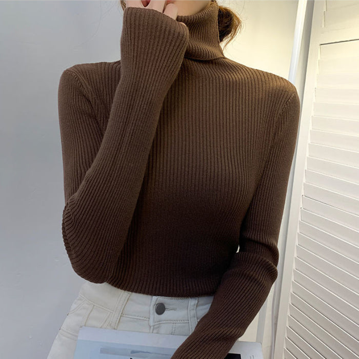 Women Pullover Turtleneck Sweaters