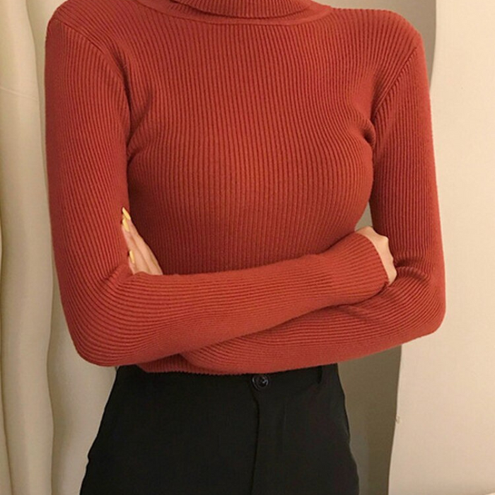 Women Pullover Turtleneck Sweaters